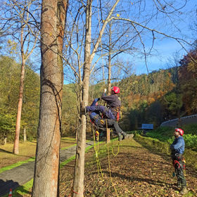 Evacuation and First Aid in Tree Climbing